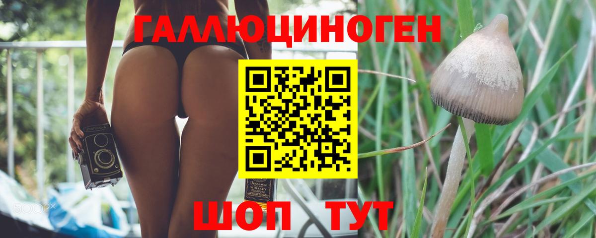Псилоцибиновые грибы мухоморы  Вход с VPN  Киселёвск 