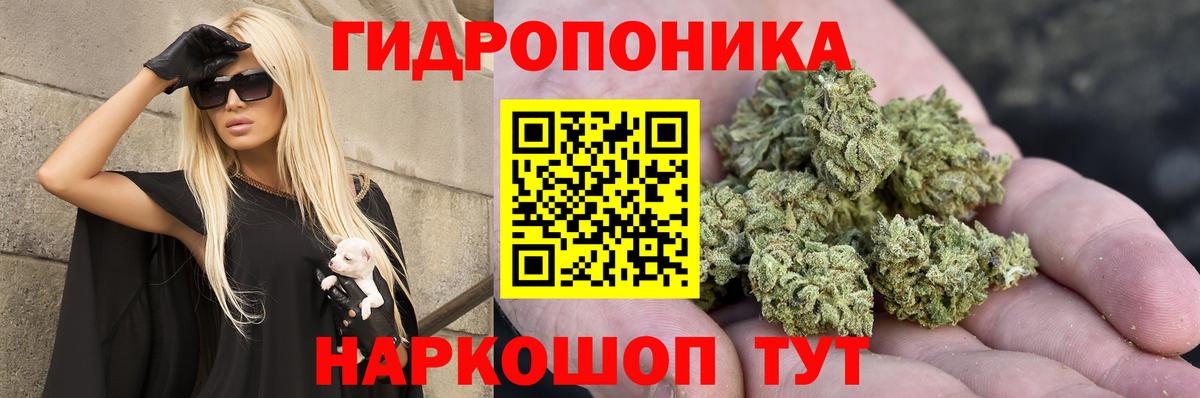 Конопля семена  МАРИХУАНА Bruce Banner  Вход с VPN  Киселёвск 